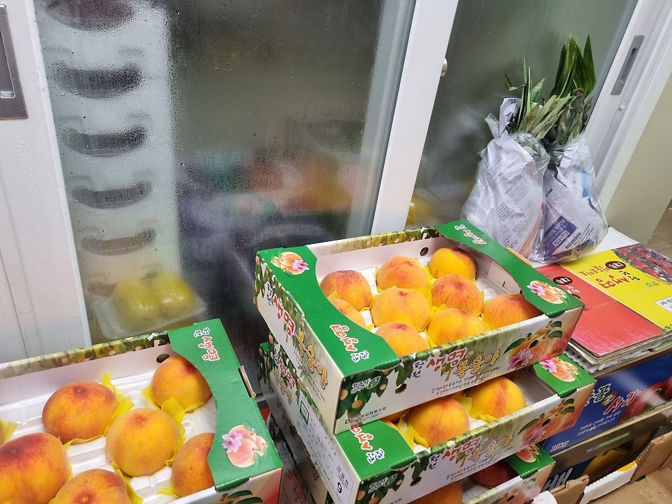 삼보청과 이미지