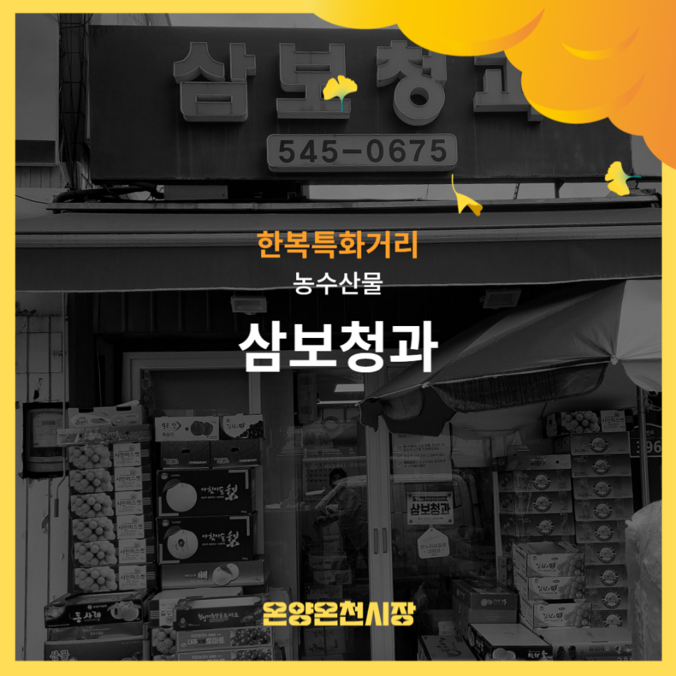 삼보청과 이미지