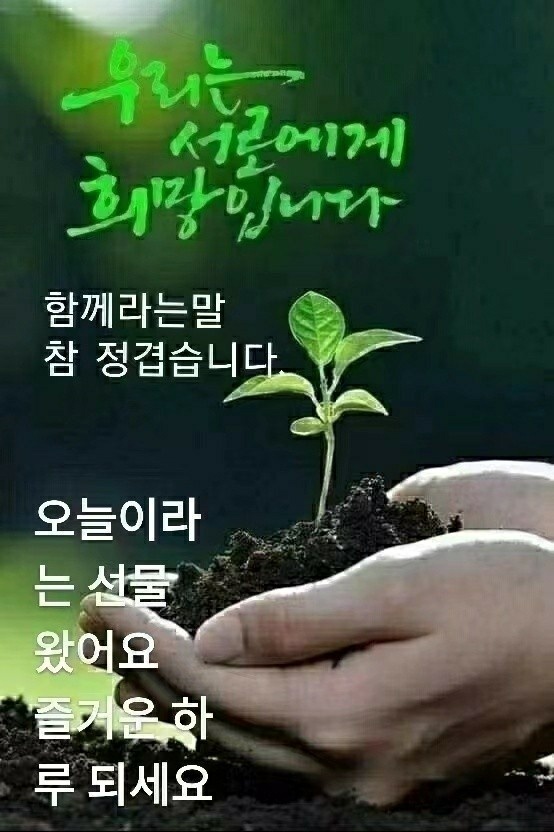 한양왕족발 이미지