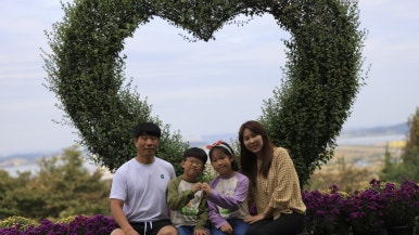 본가은행나무집 이미지