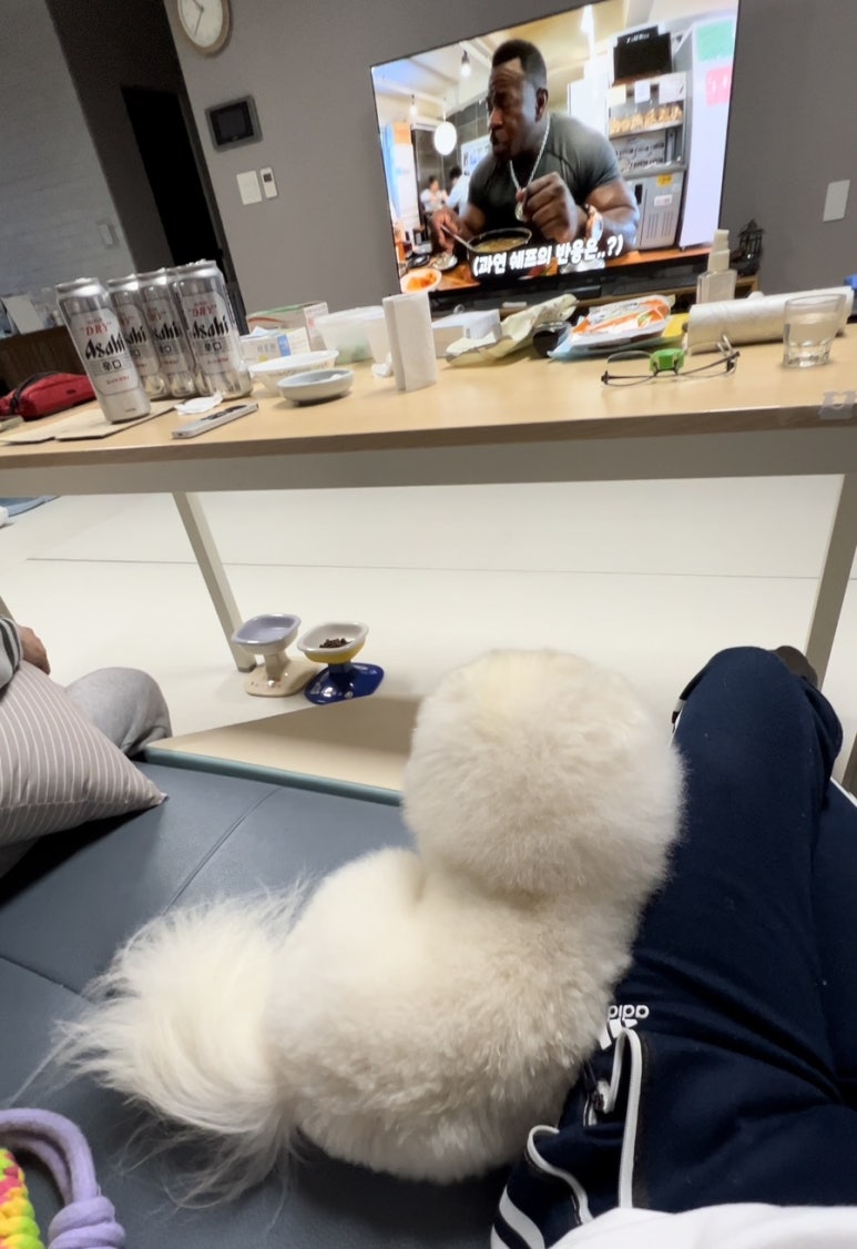 진씨앤디 이미지
