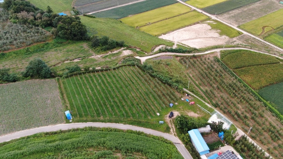 (주)골드브릭스 이미지