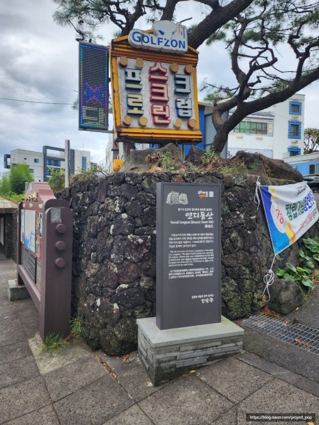 디저트39서귀포명동로점 이미지