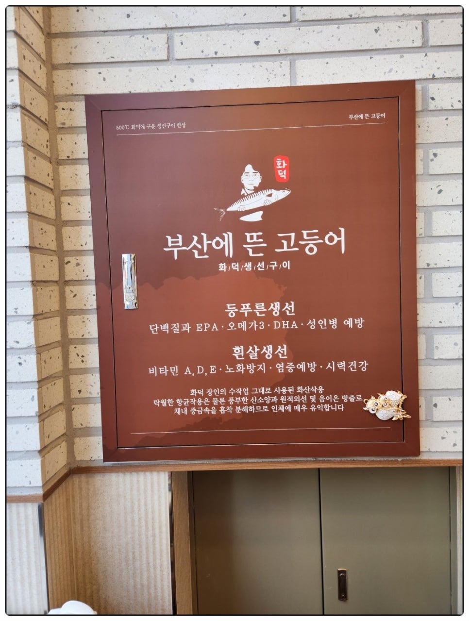 부산에뜬고등어 이미지