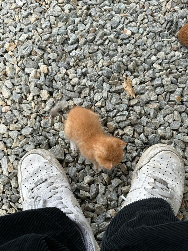 깽이네반찬카페 이미지