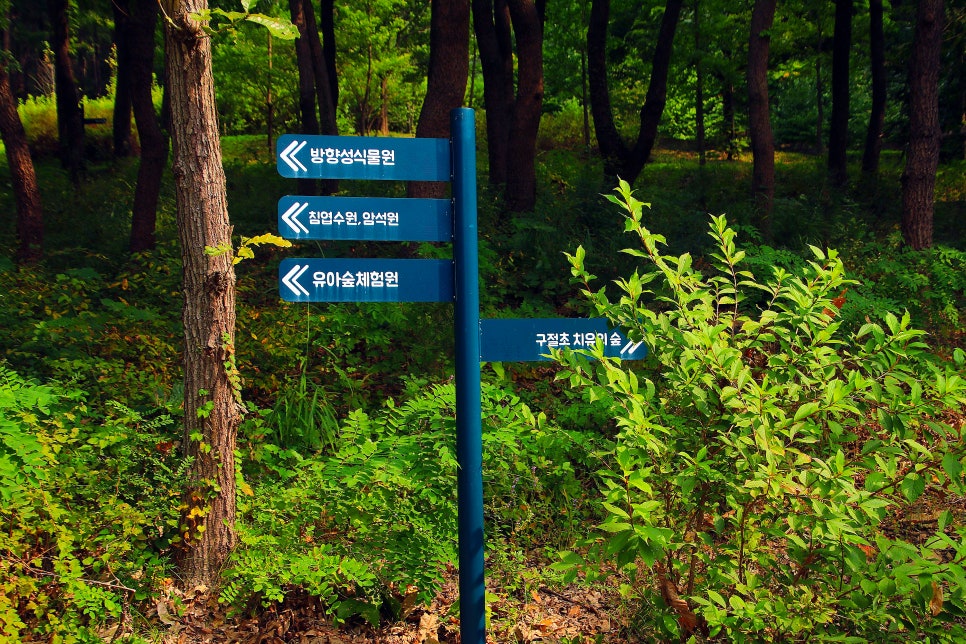 지우통상 이미지