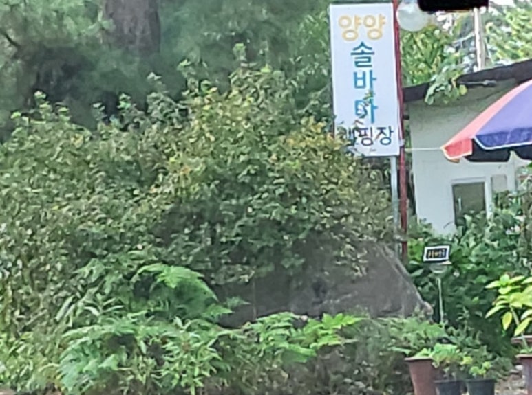 양양 솔바다 캠핑장 이미지