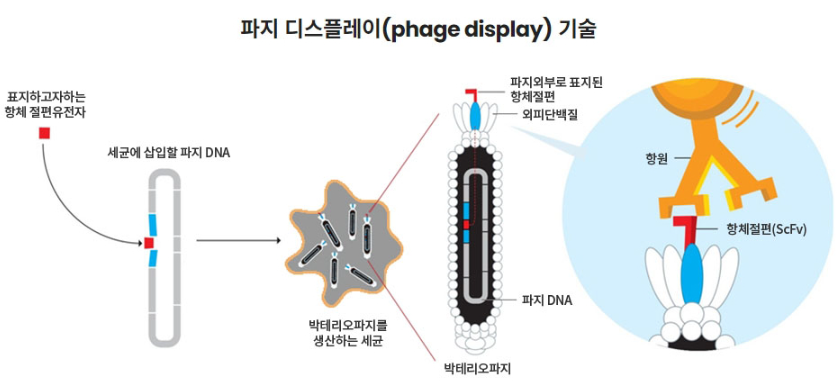 주식회사 픽시스 이미지