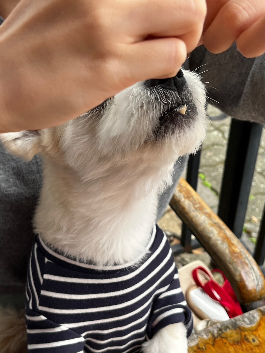 스윗해_제주 이미지
