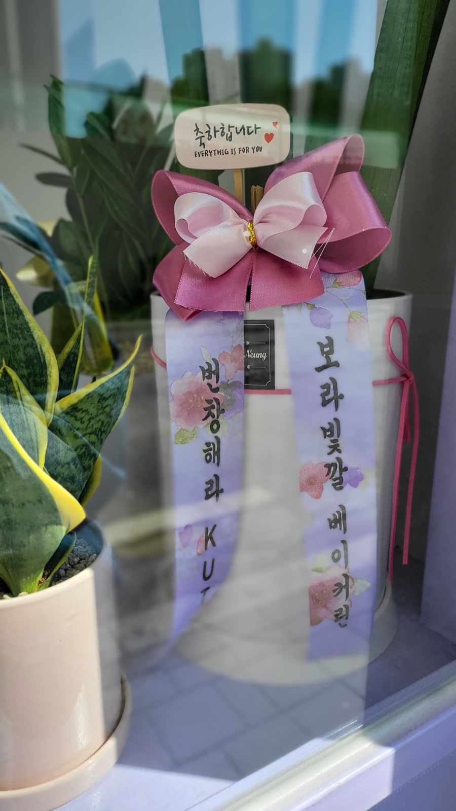 베이커린 이미지