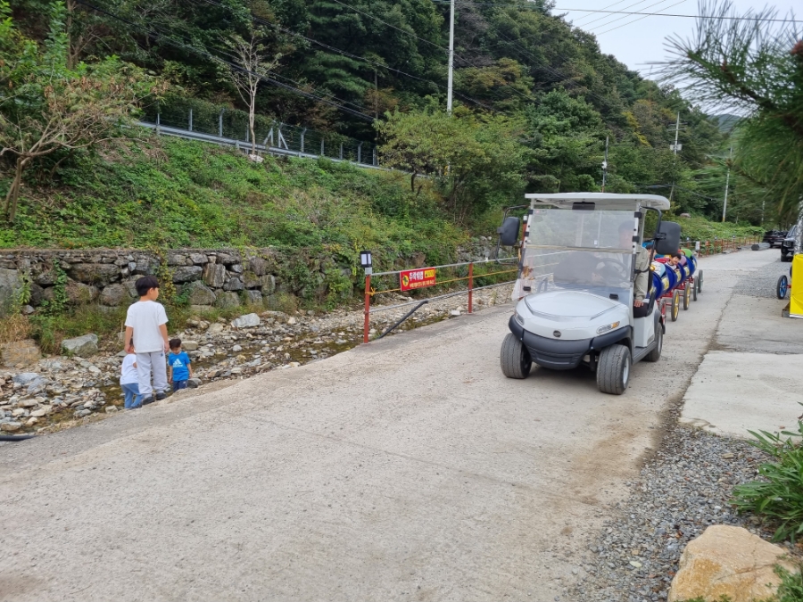 금산육백켐핑장 이미지