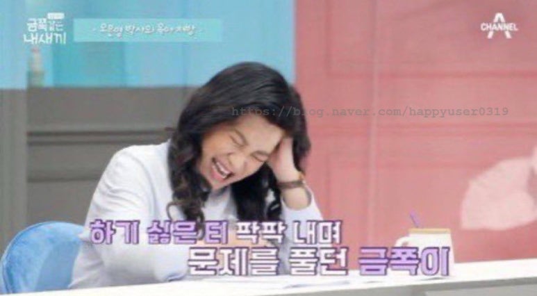 마이오토 이미지