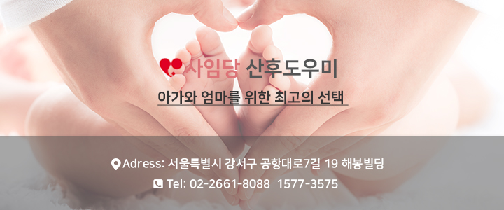 사임당 강서지사 이미지