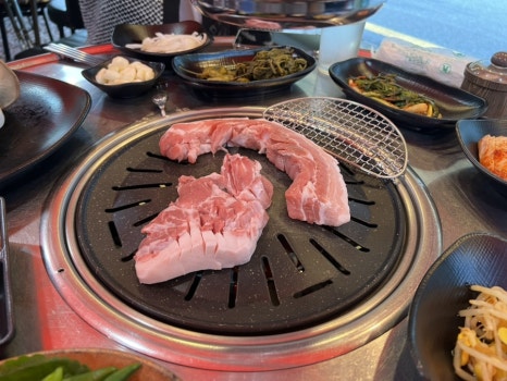 춤추는돼지 이미지