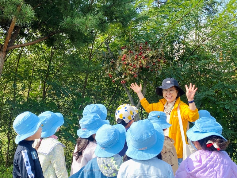 숲속나무교실 이미지