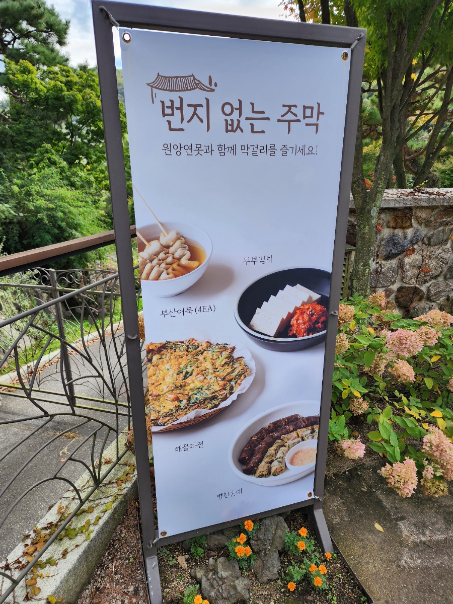 초의숲 이미지