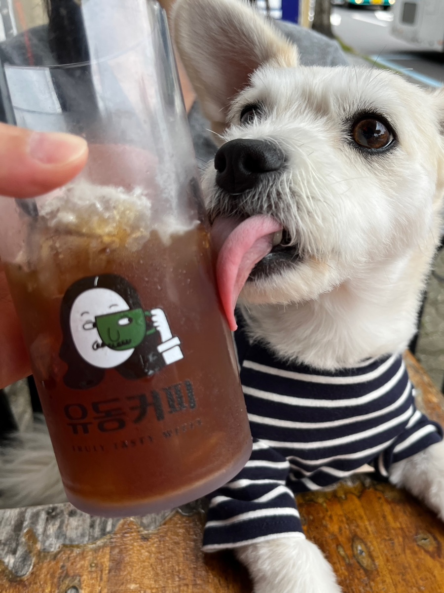 스윗해_제주 이미지