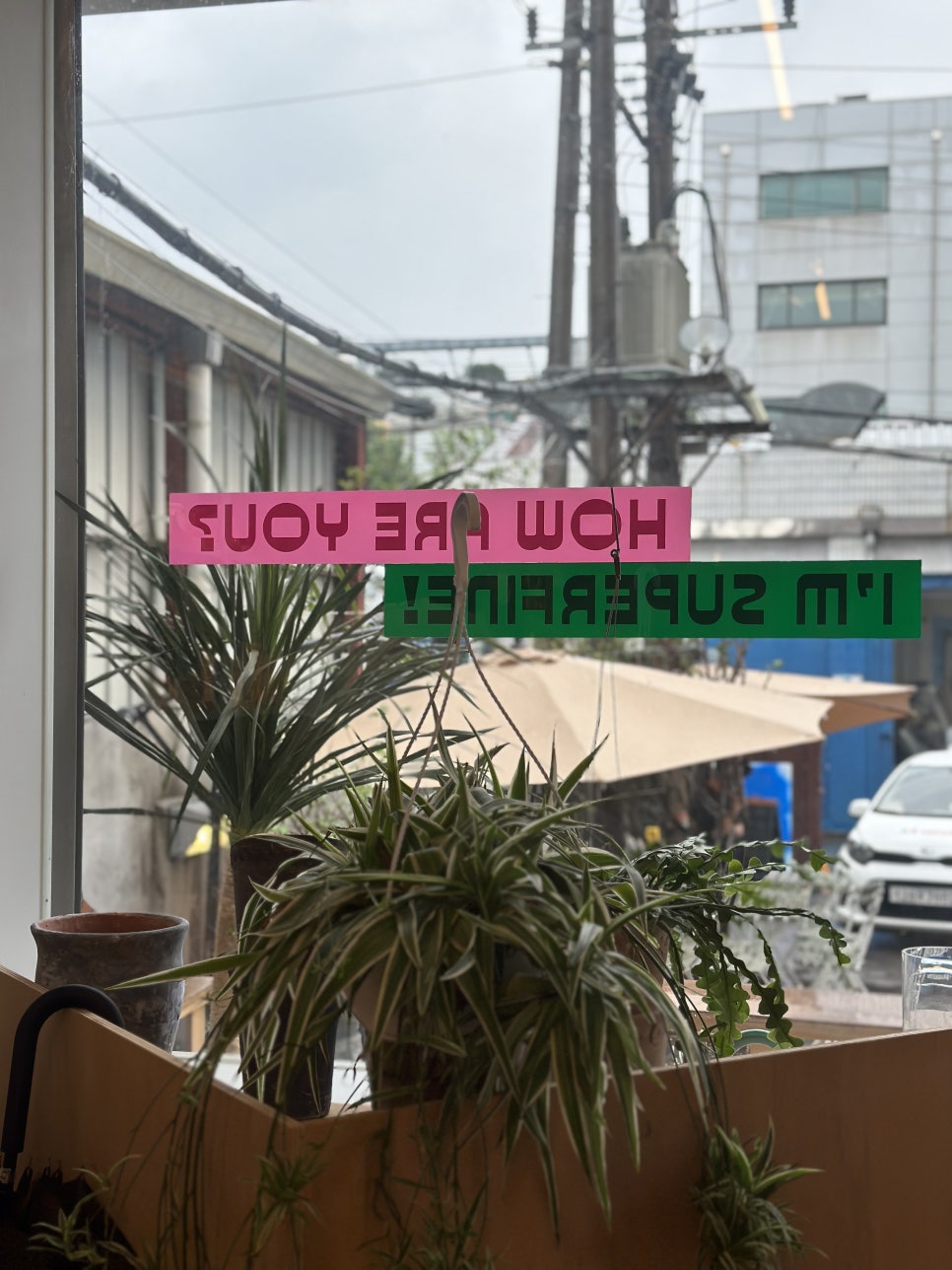 슈퍼파인 스토어 이미지