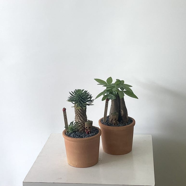꽃바람화원 이미지
