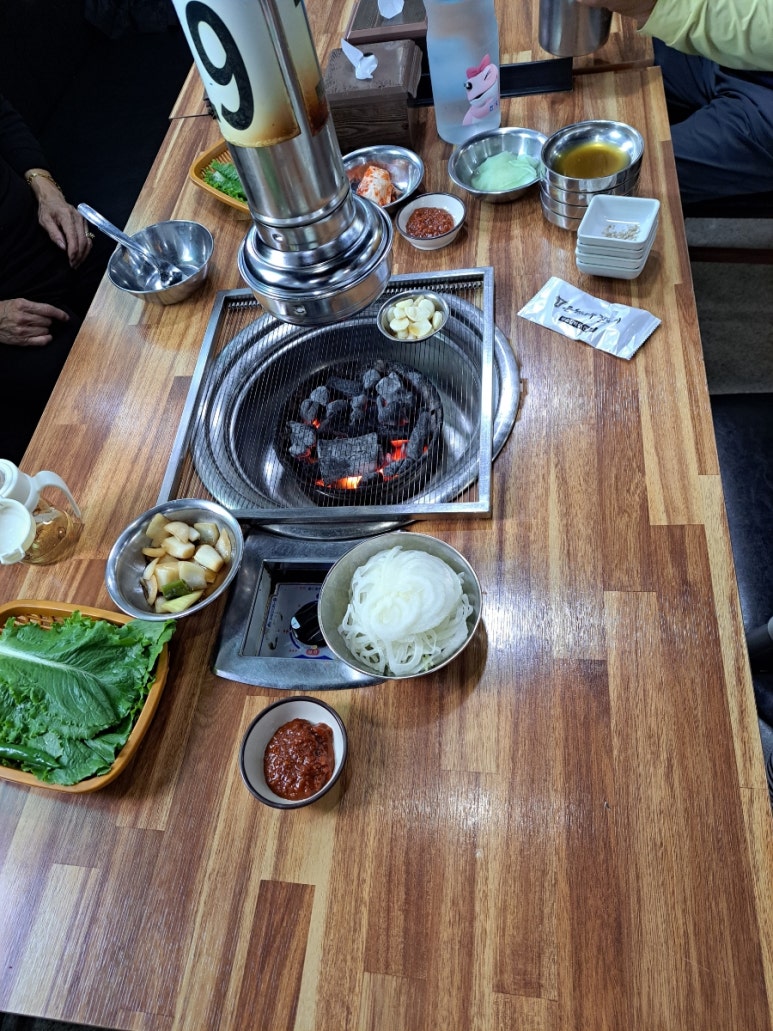 은행나무갈매기 이미지