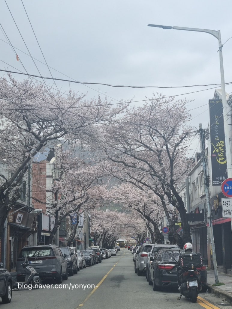 파티쉐미진 이미지