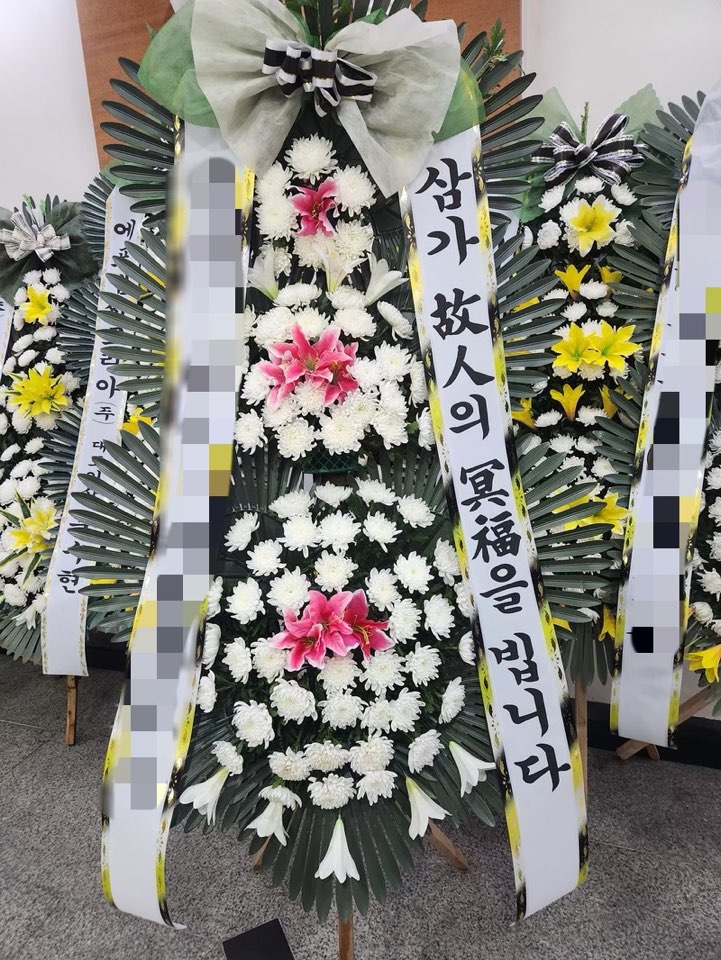 여니플로라 이미지