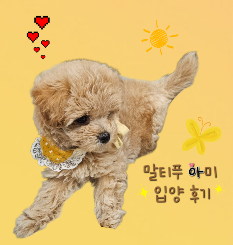 엘라보네르 이미지