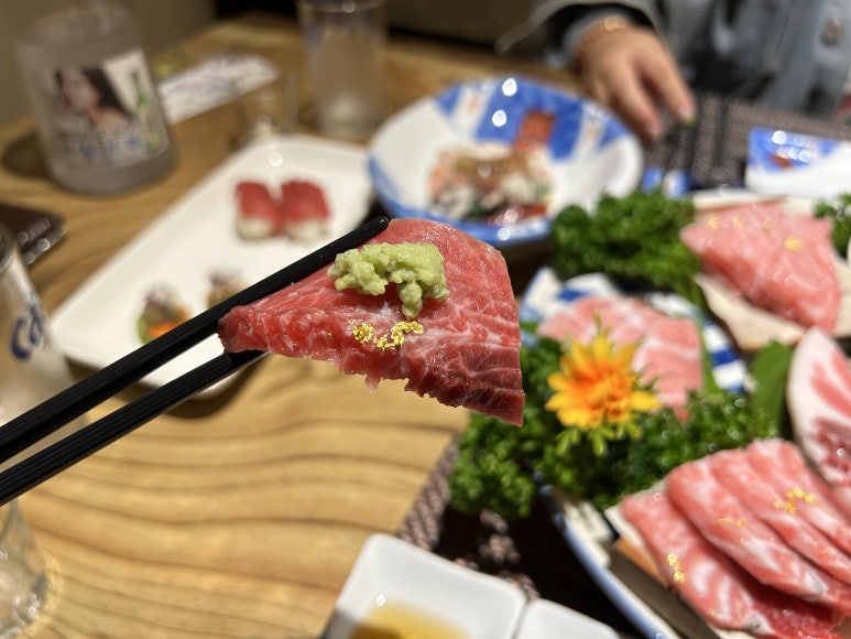 피지참치 이미지