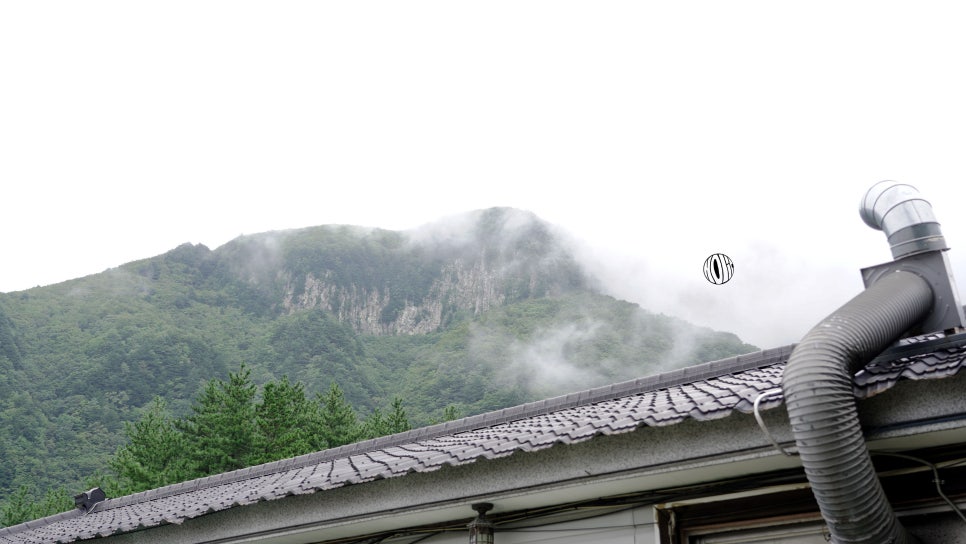 고기랑산채랑 이미지