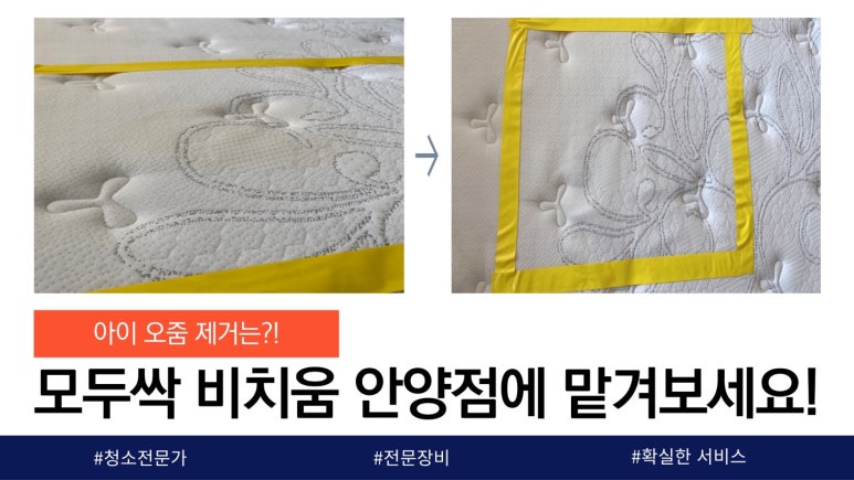 모두싹청소 이미지