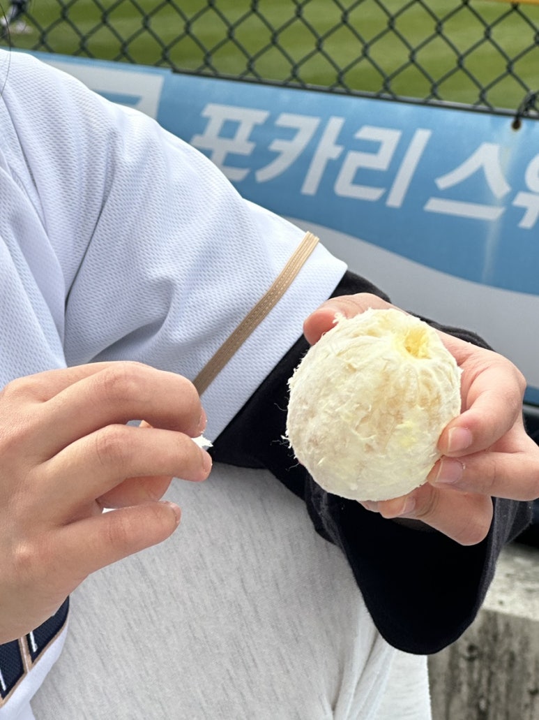 엔씨파크 이미지