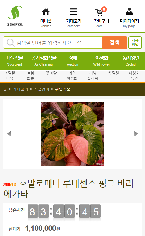 묘한정원 이미지
