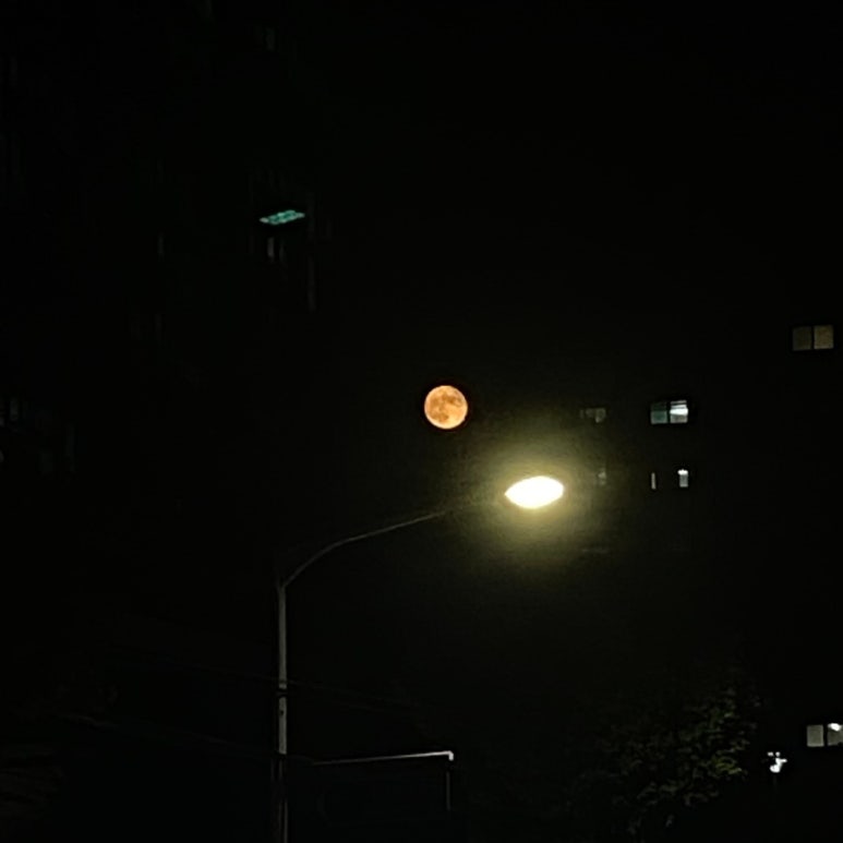유진아울렛 이미지