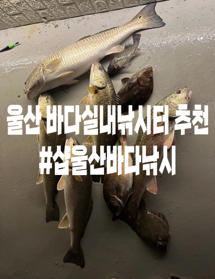 샵울산바다낚시 이미지