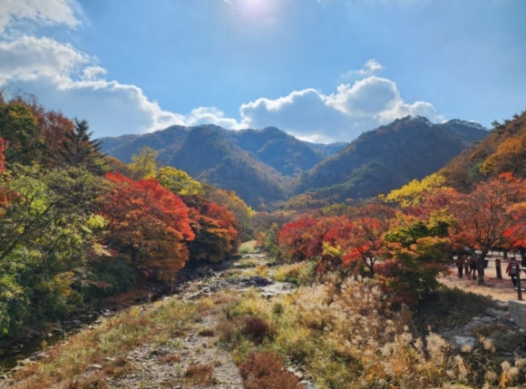달고운청정사교마을 이미지
