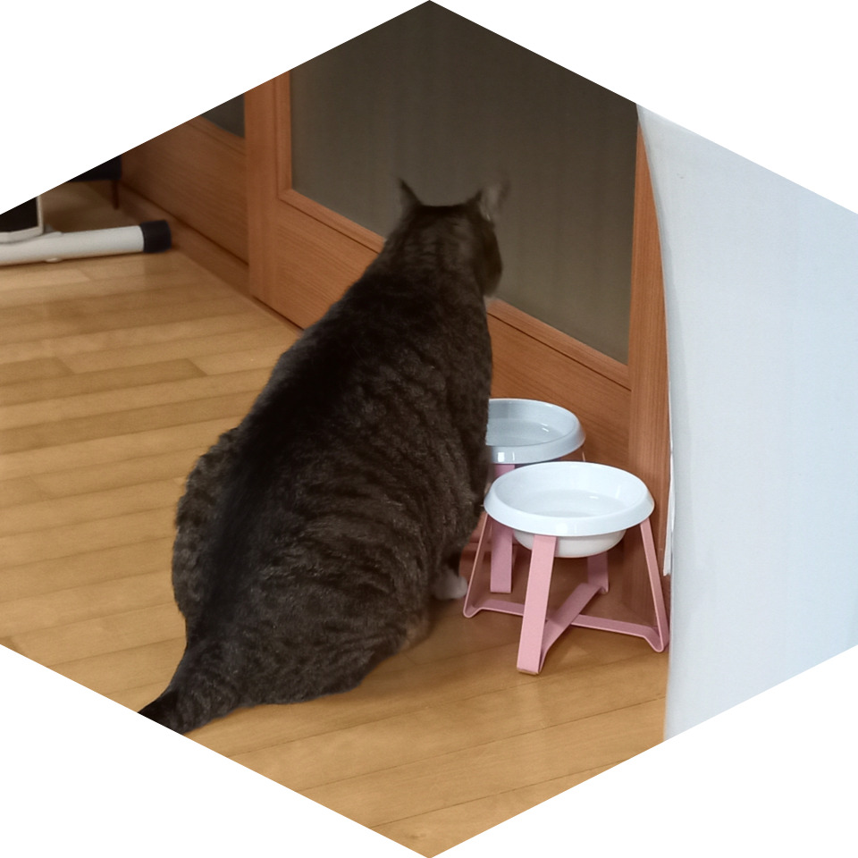 석이유통 이미지