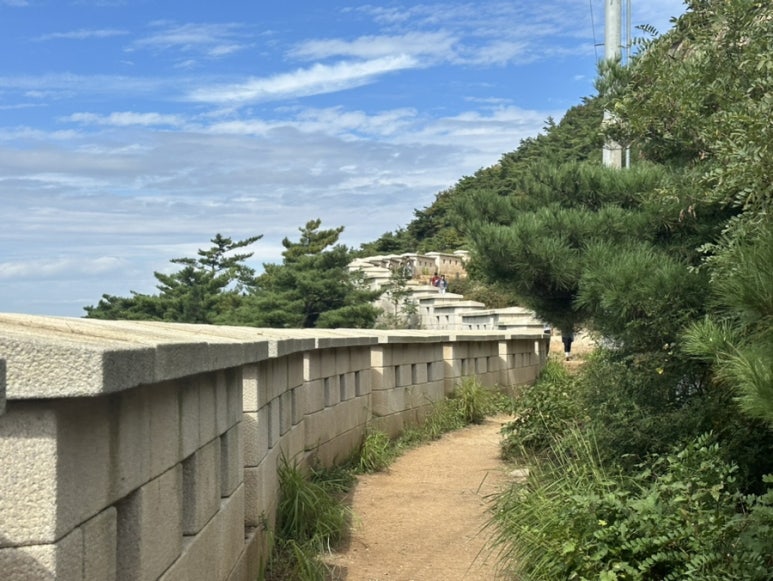 홍.낙.제 이미지