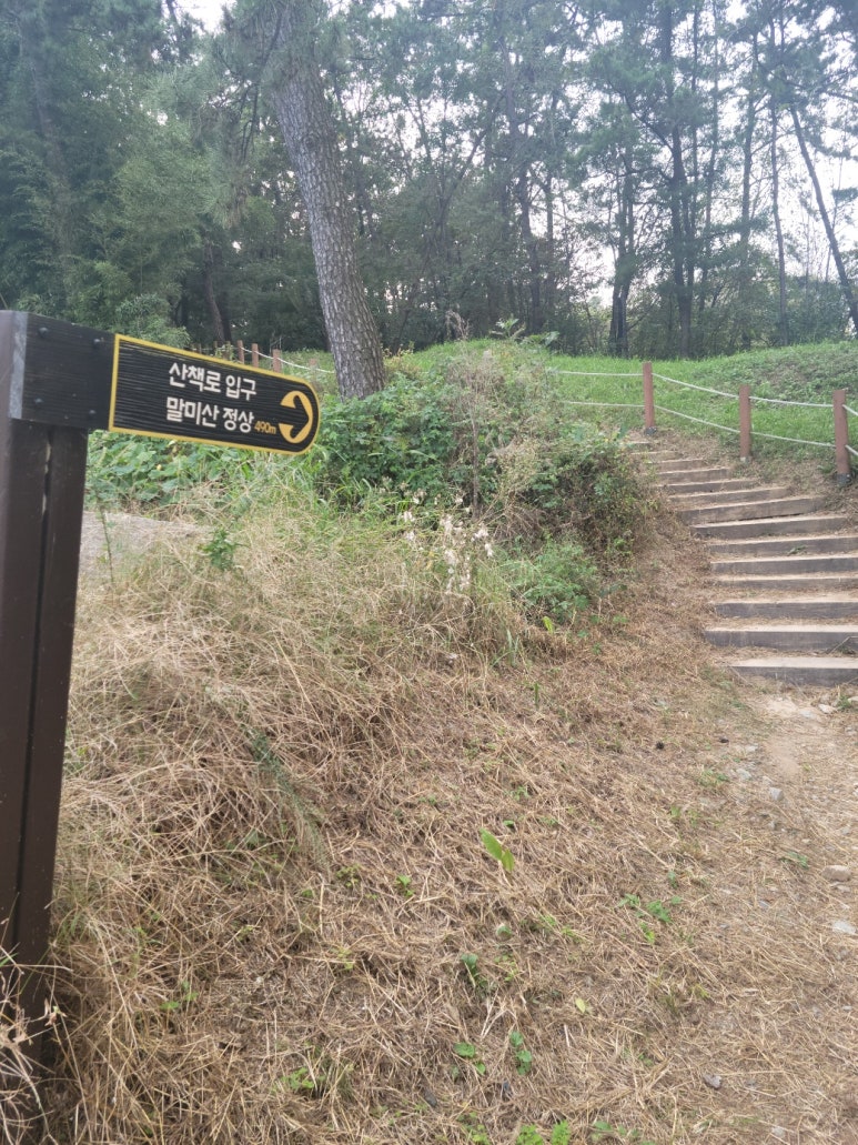 말미산정상 이미지