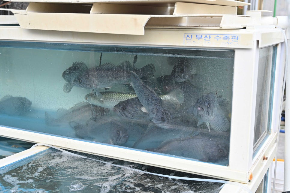 바다맛선장집 이미지