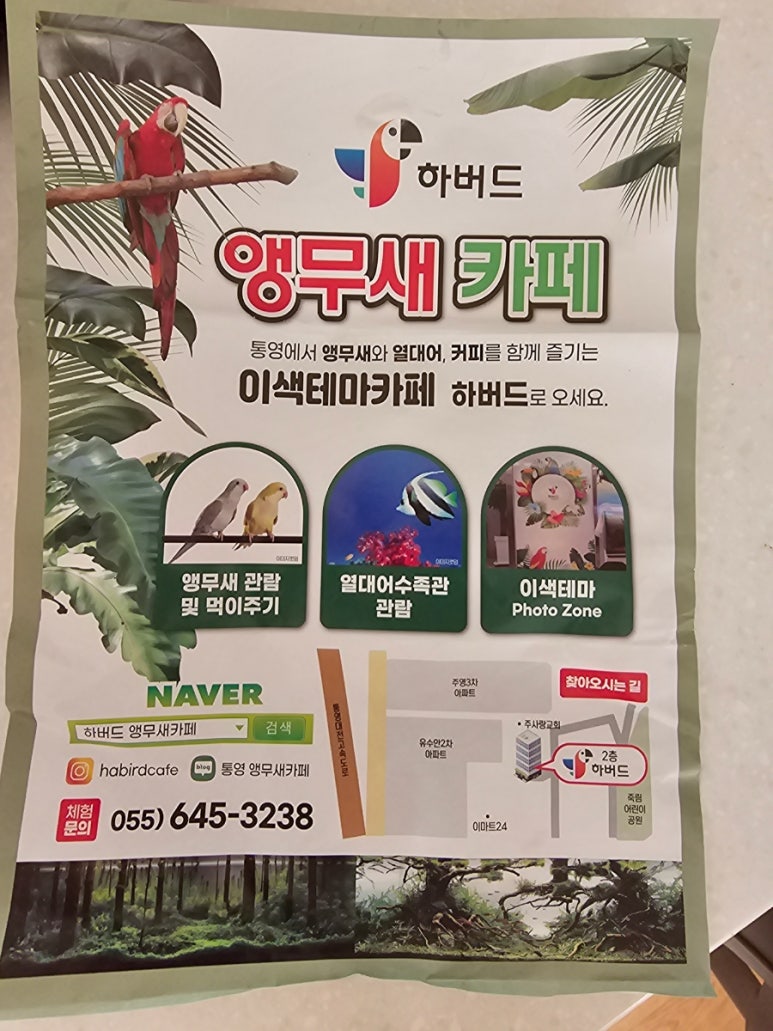 하버드앵무새카페 이미지