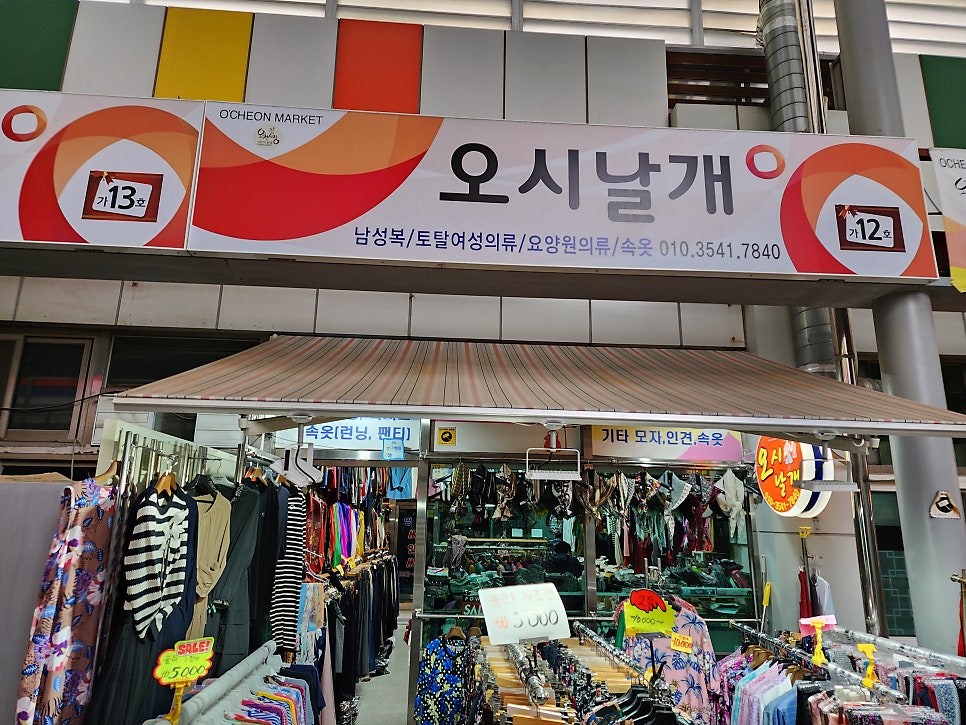 오시날개 이미지