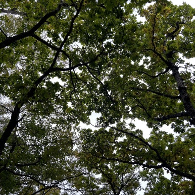 지리산쉼표 이미지