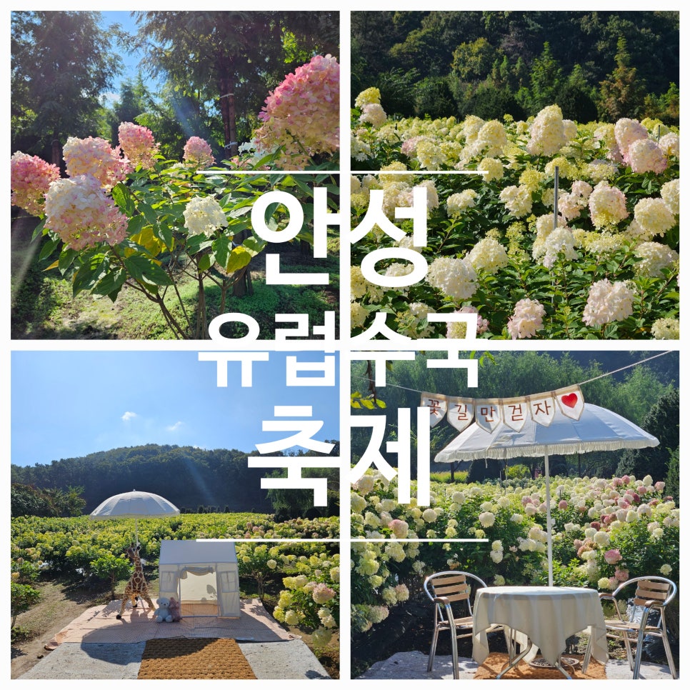 용설호수농원 이미지