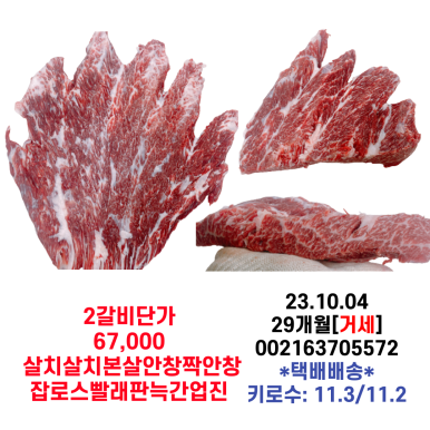 미경사2 이미지