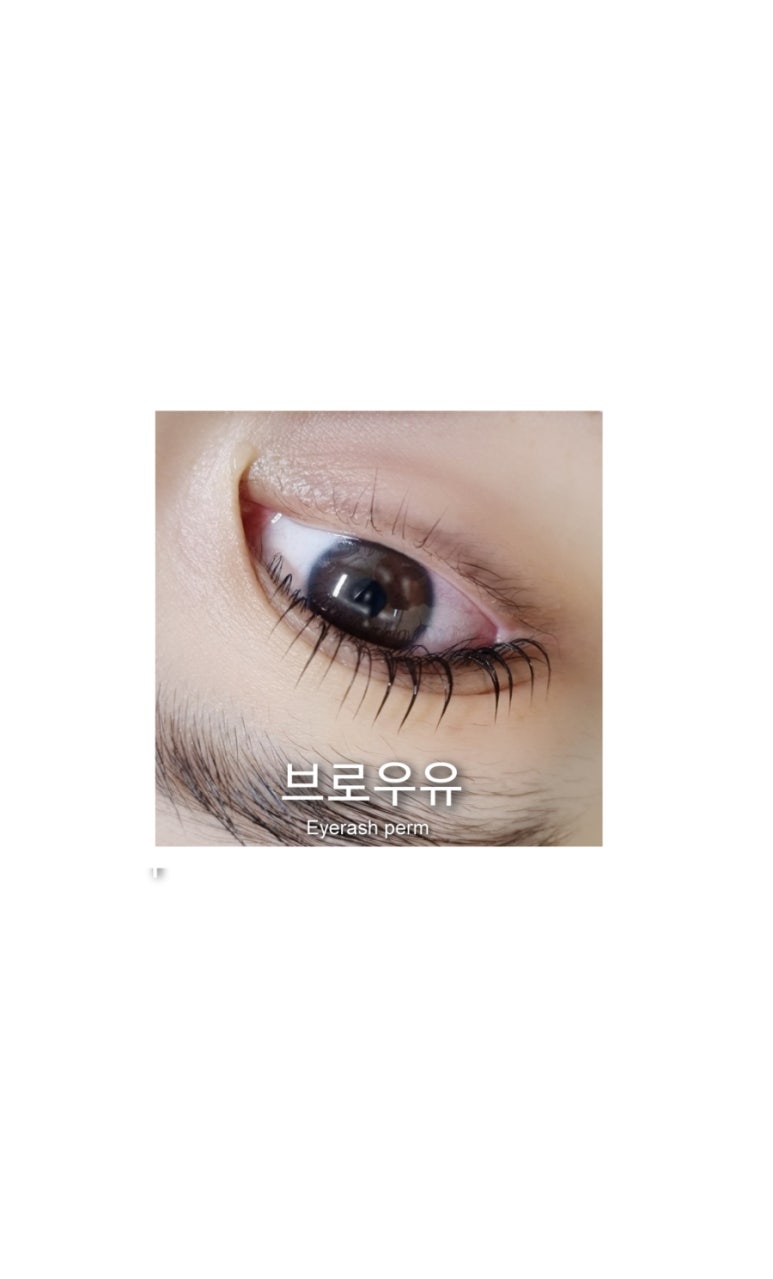 브로우유 이미지