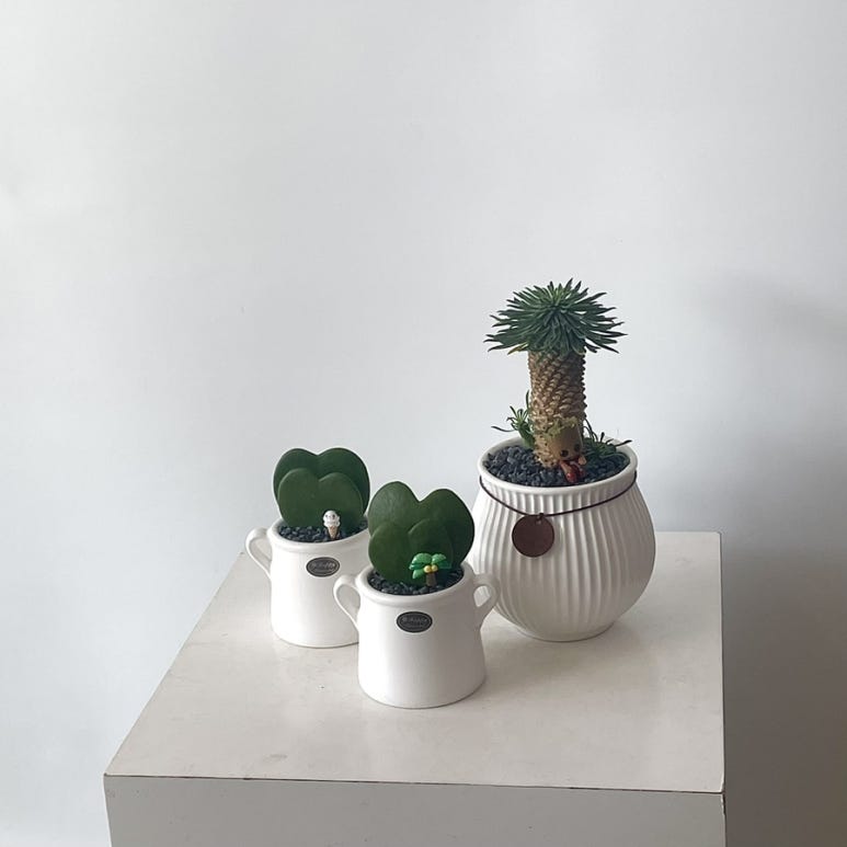 꽃바람화원 이미지