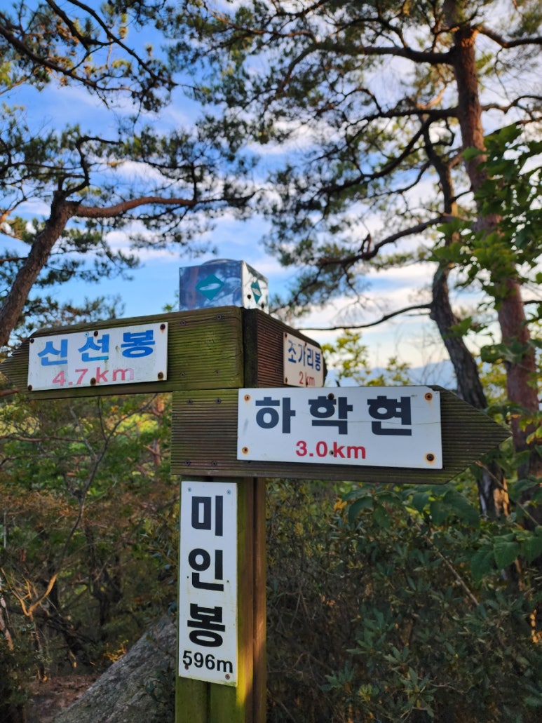 미인봉(저승봉) 정상 이미지