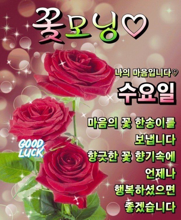 정한법무사 이미지