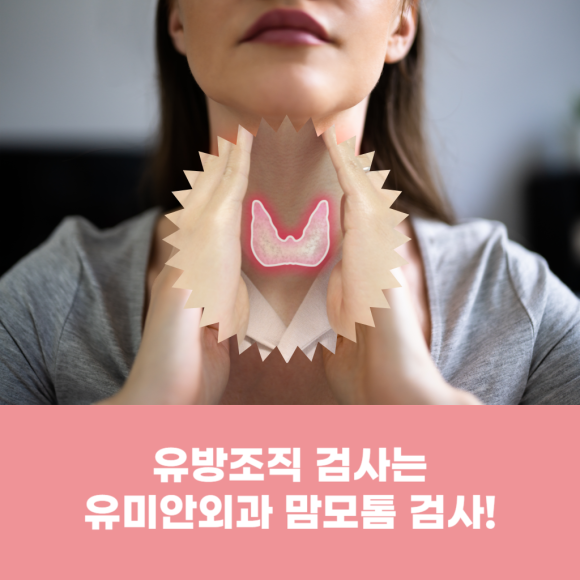 유미안외과 이미지