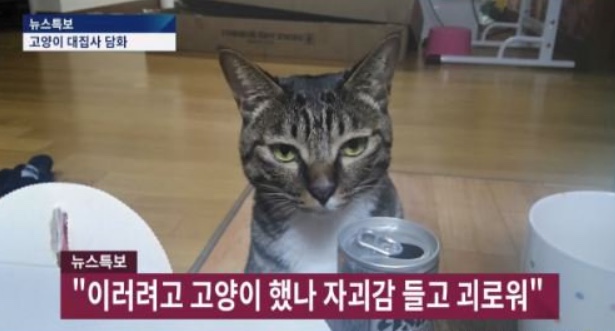 야니뷰티 이미지